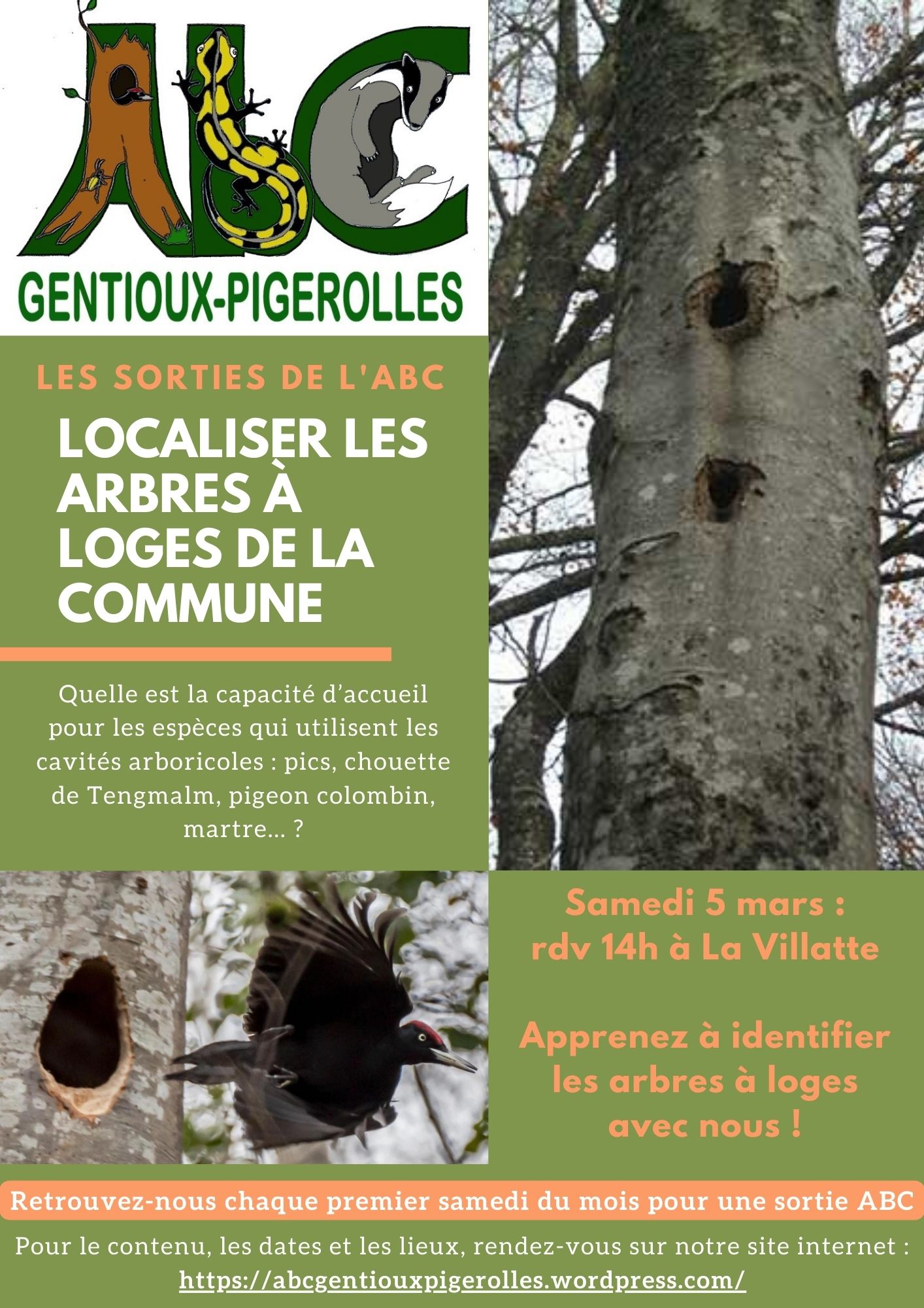 Samedi 5 mars à 14h  Sortie « Localiser les arbres à loges de la commune »
